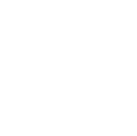 Strategic media partners logo