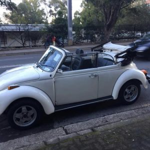 Car Carrying