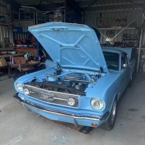 Car Carrying