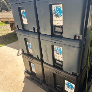 Pallet Freight